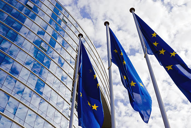 EU legal document drafting service